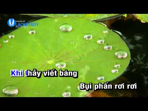 Bụi Phấn (remix)