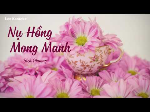 Nụ Hồng Mong Manh Remix