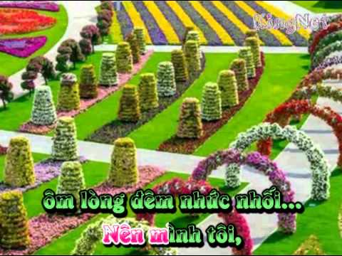 Hoang Mang Remix