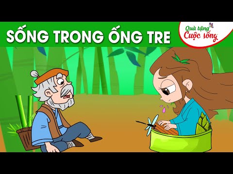 Sống Trong Ống Tre