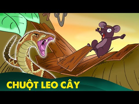 Chuột Leo Cây
