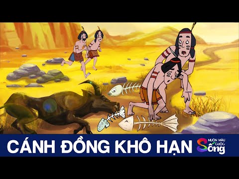 Cánh Đồng Khô Hạn