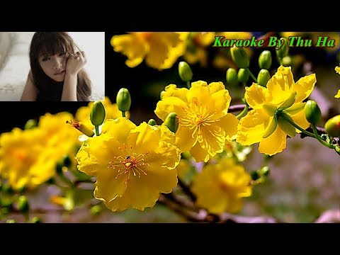 Đám Cưới Đầu Xuân